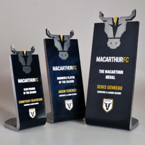 MACARTHUR FC 21 trophy trio Metal bespoke 2